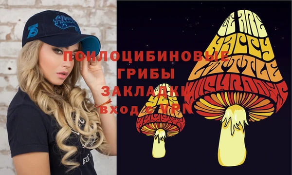 кристаллы Осинники