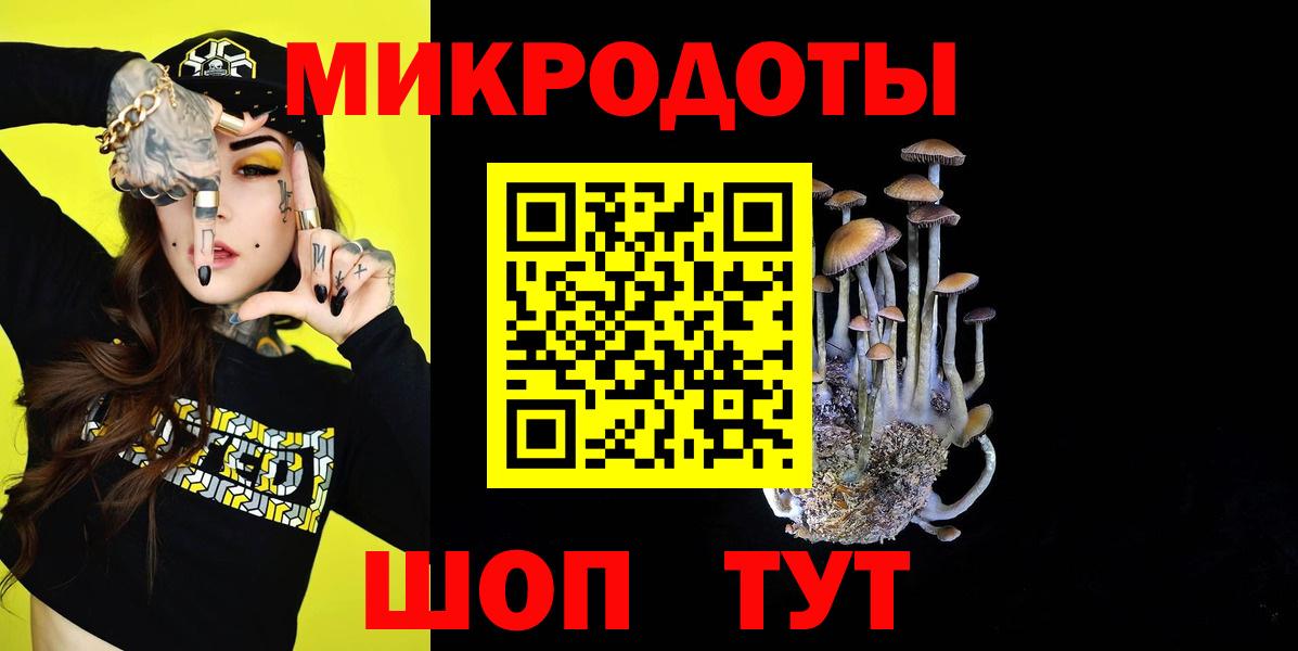 Псилоцибиновые грибы Cubensis Асино