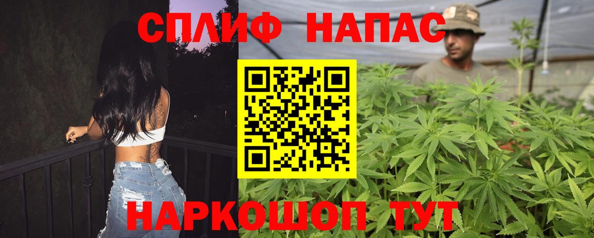 МАРИХУАНА ГИДРОПОН Асино