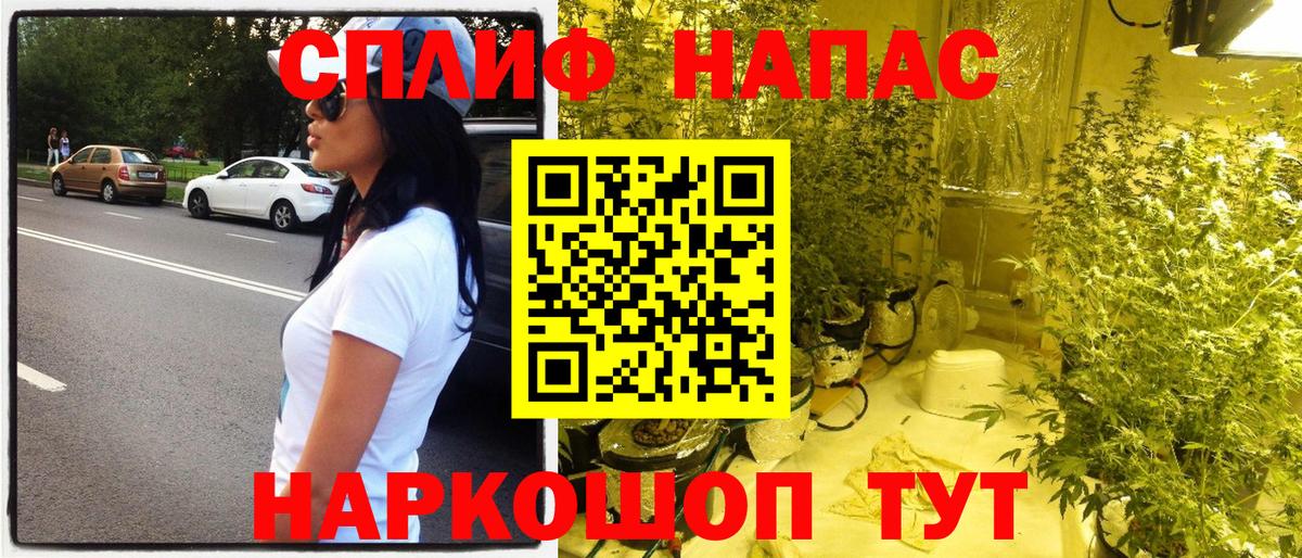 Конопля ГИДРОПОН  Асино  Конопля Ganja 